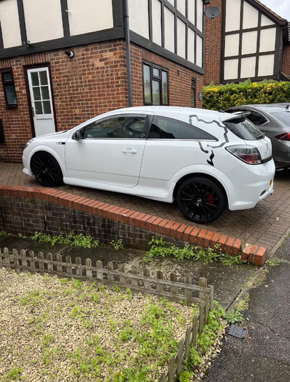 Astra VXR Nurburgring Decals Stickers